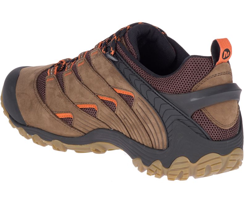 Dark Brown Merrell Chameleon 7 Men's Hiking Shoes Canada | 30689M-2HD